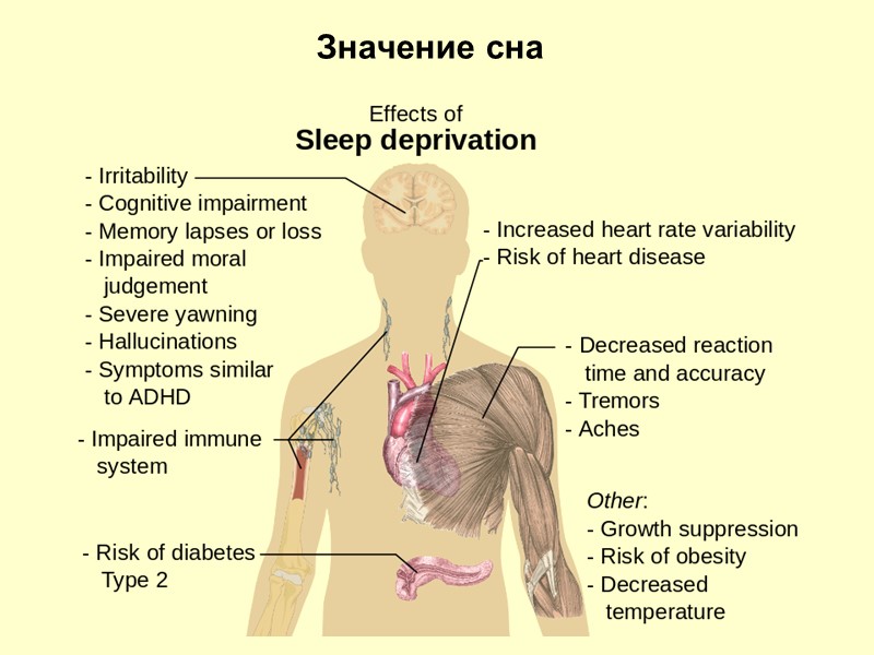 Значение сна